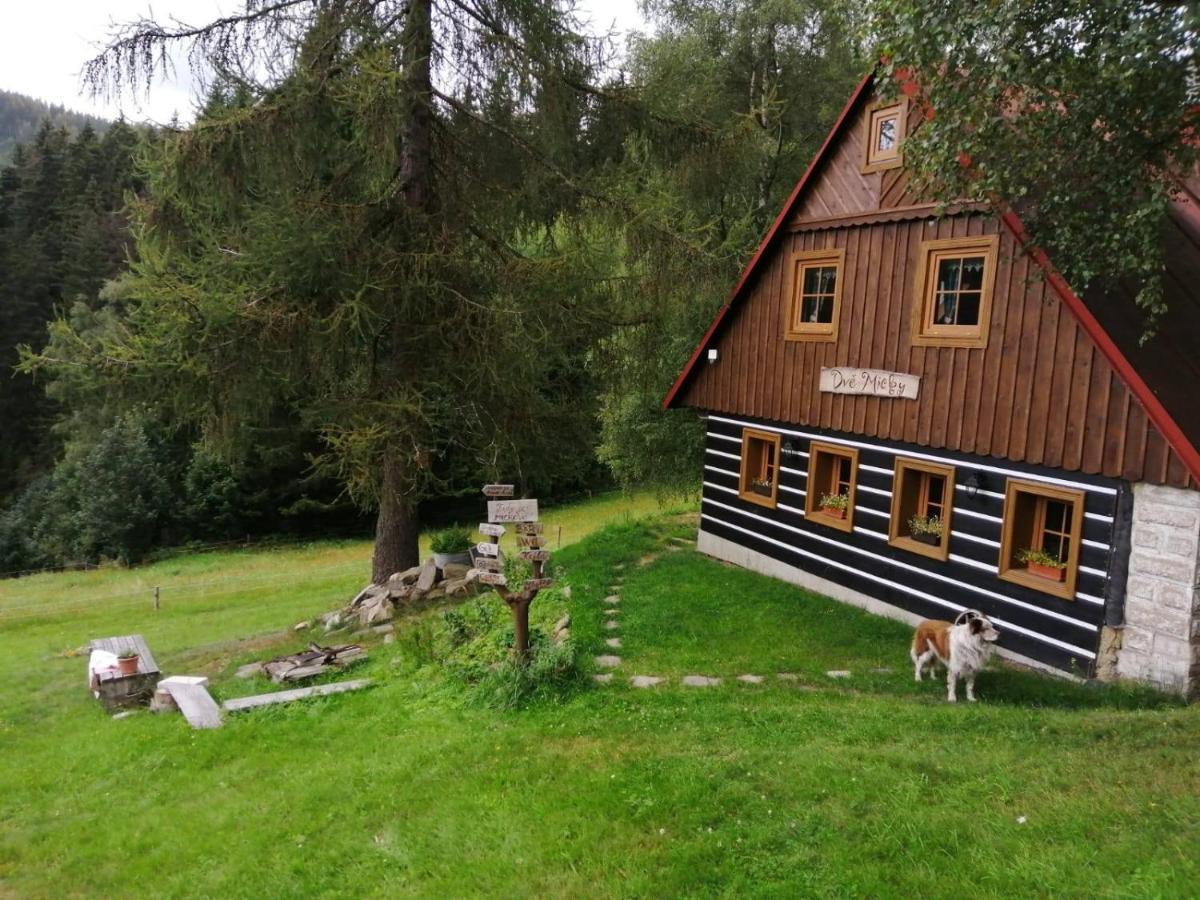Dve Micky Homestay Pec pod Snezkou